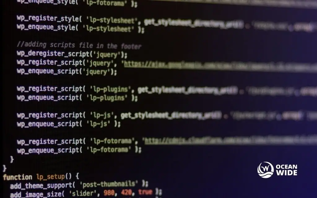 Post-launch support and maintenance expectations