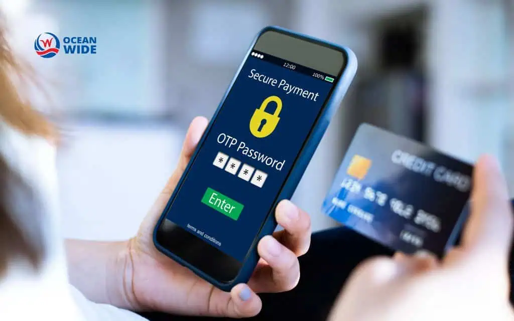 Secure payment processing systems