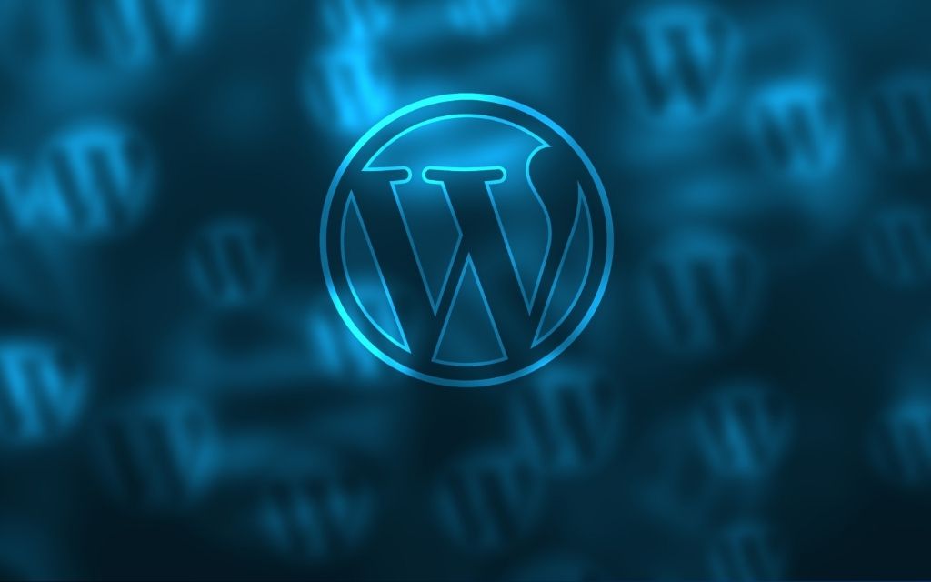 WordPress website design services in Denver: what to expect