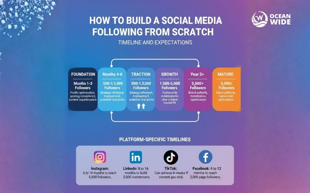 Timeline and expectations for building a social media following from scratch